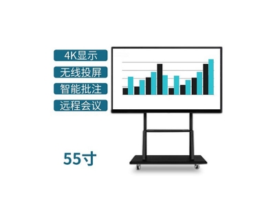 55寸會(huì)議大平板