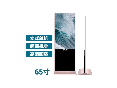 超薄立式65寸液晶廣告機(jī)單機(jī)版